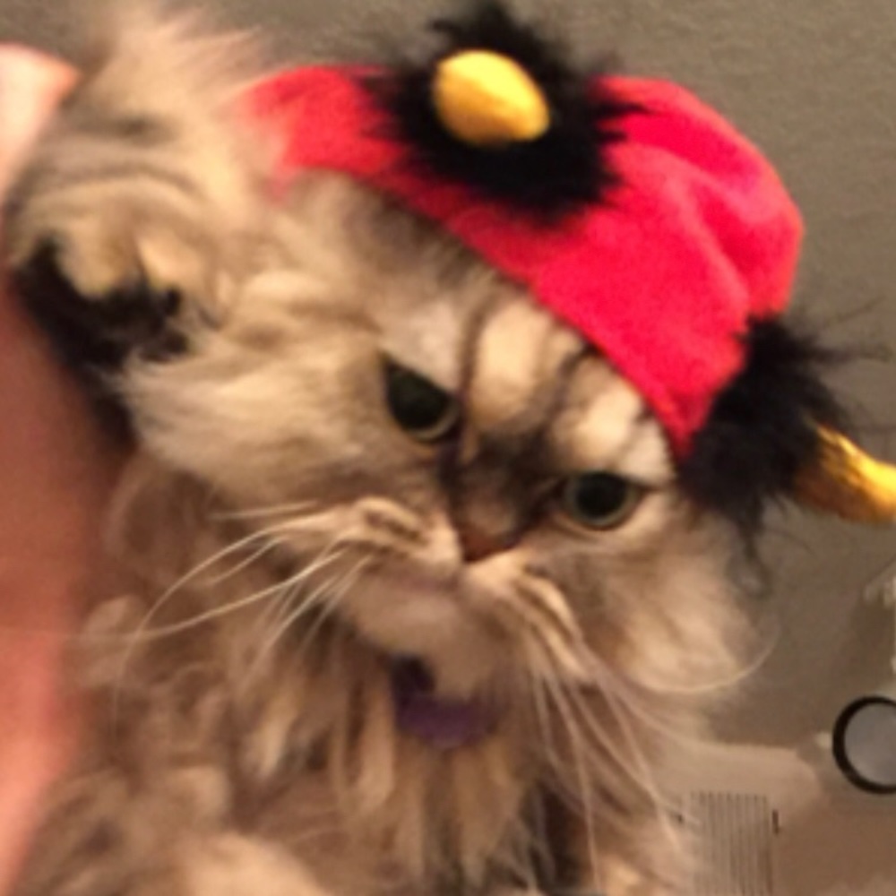 👹Pet Devil Horn Hood